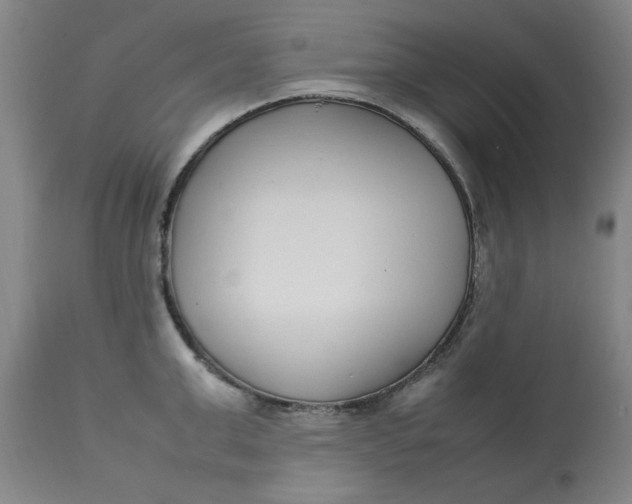 X0000112790999200909111207