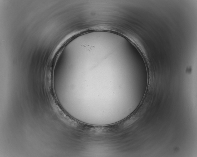 X0000112791000200909111207