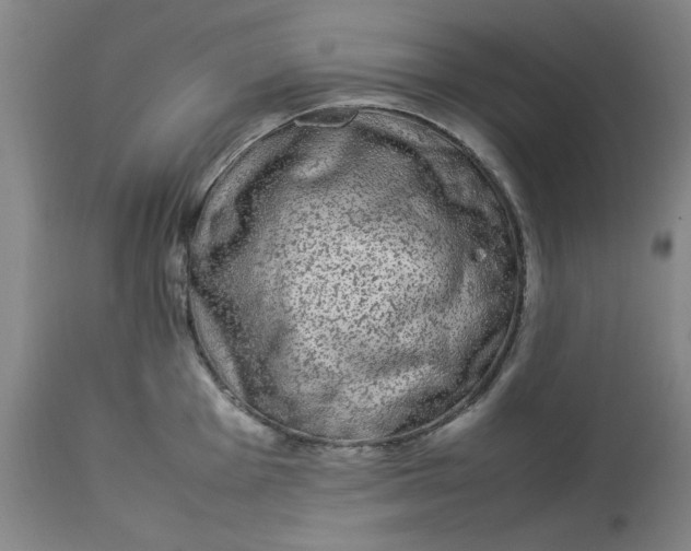 X0000112791001200909111207