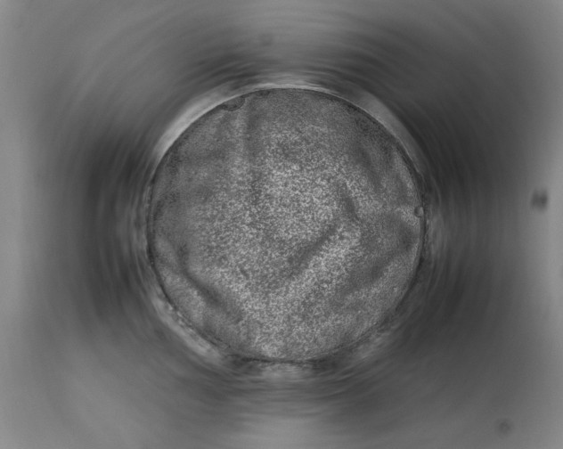 X0000112791002200909111207