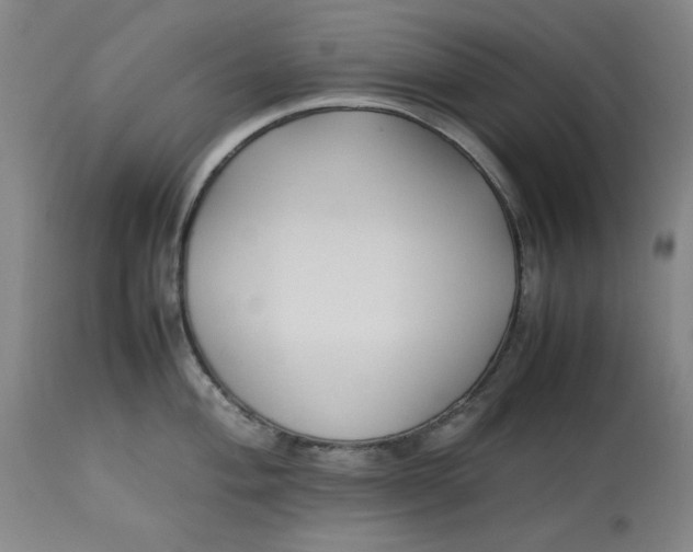 X0000112791004200909111207