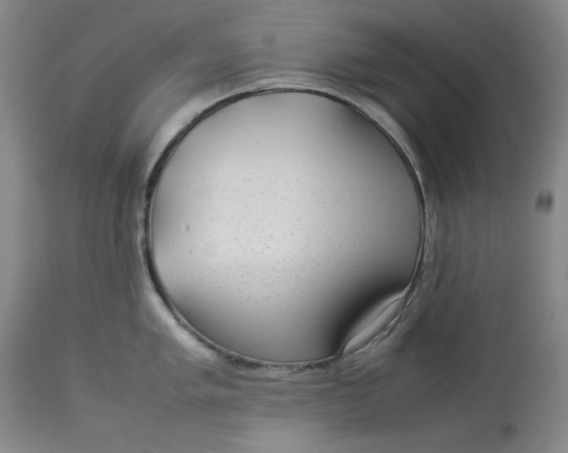 X0000112791005200909111207