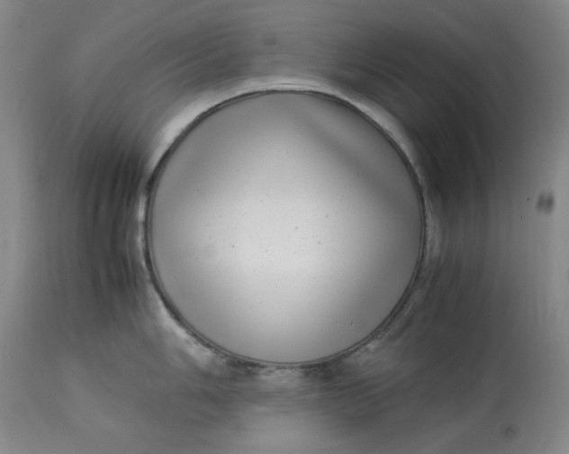 X0000112791006200909111207