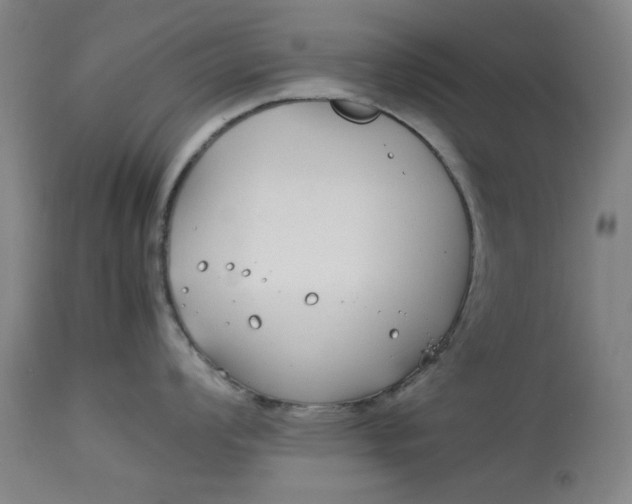 X0000112791008200909111207