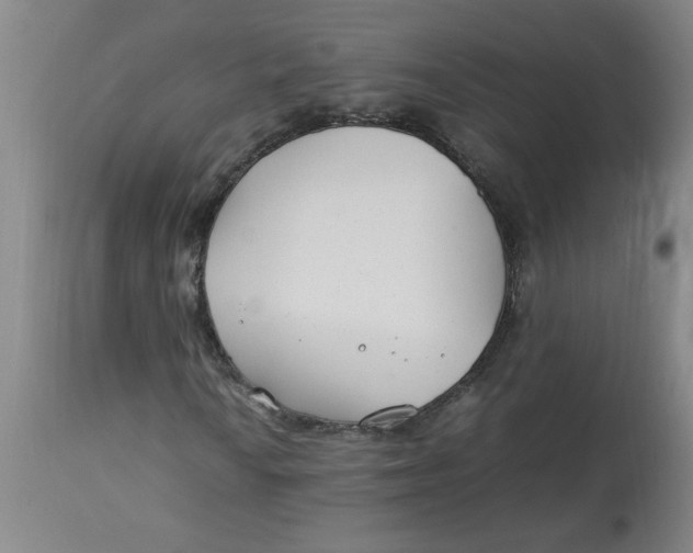 X0000112791010200909111206