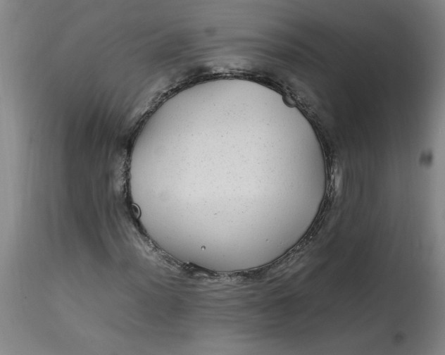 X0000112791012200909111206