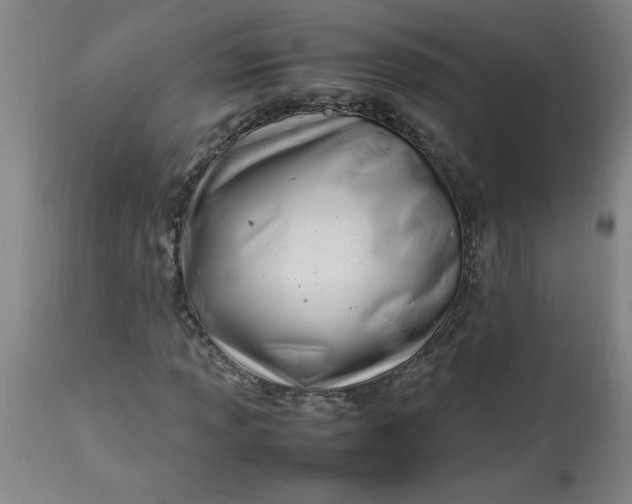 X0000112791013200909111206