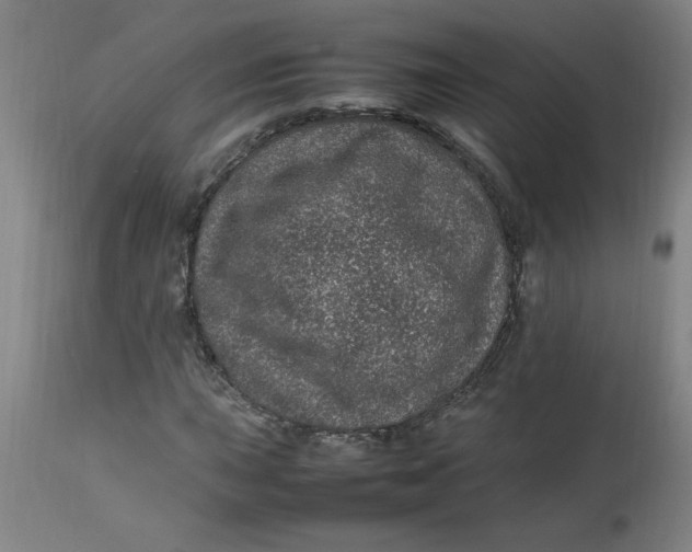 X0000112791015200909111206