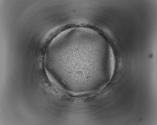 X0000112791016200909111206