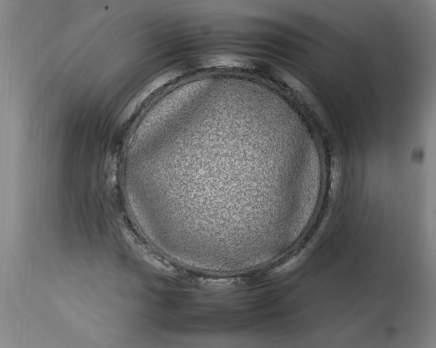 X0000112791017200909111206