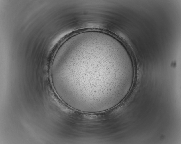 X0000112791019200909111206