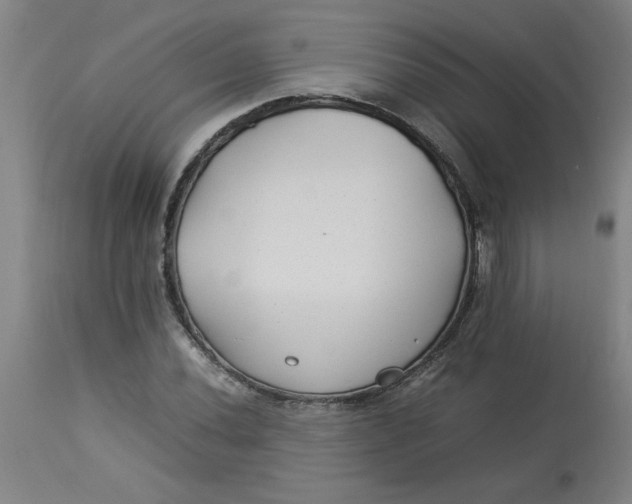 X0000112791020200909111206