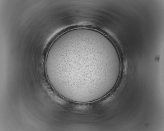 X0000112791021200909111206