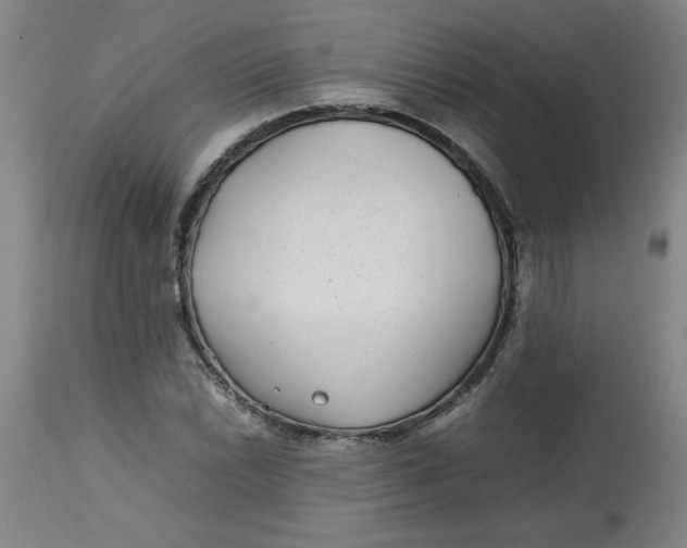 X0000112791022200909111206