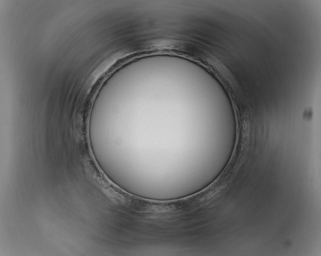 X0000112791023200909111206