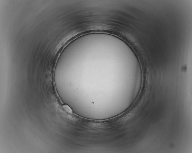 X0000112791025200909111206