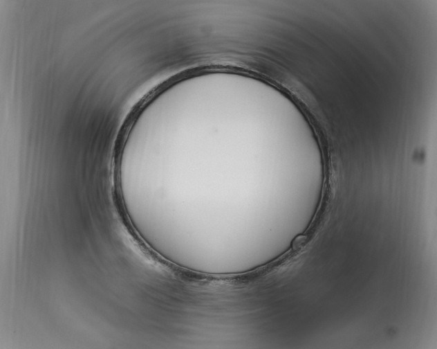 X0000112791028200909111206