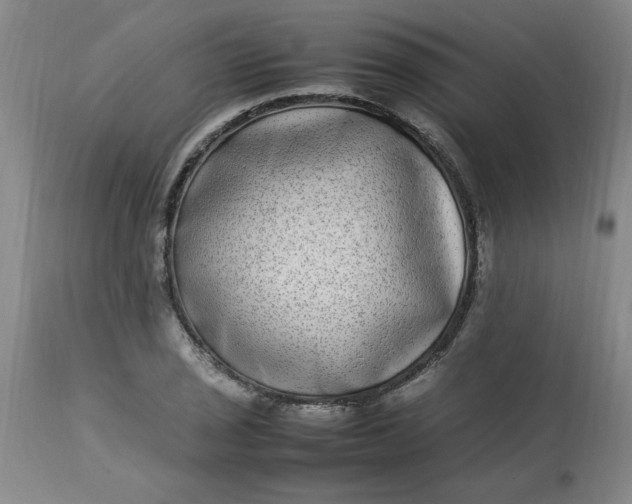 X0000112791029200909111206