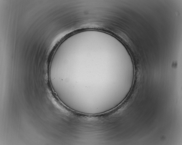 X0000112791030200909111206