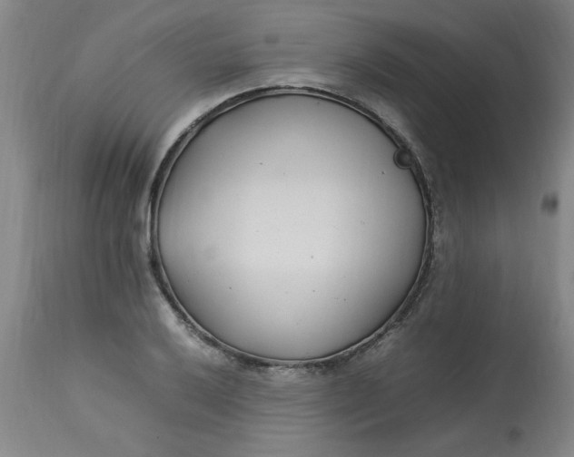 X0000112791032200909111206