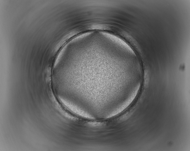 X0000112791033200909111207