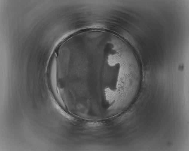 X0000112791037200909111207