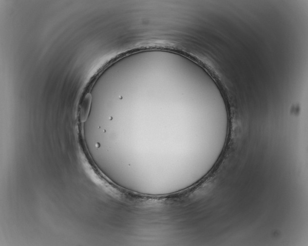 X0000112791038200909111207