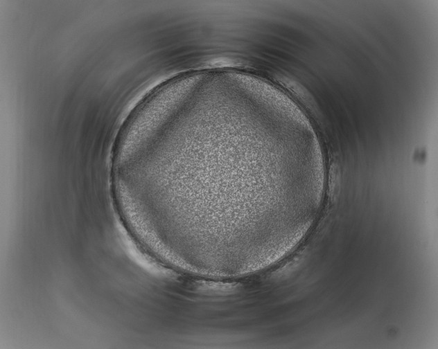 X0000112791039200909111207