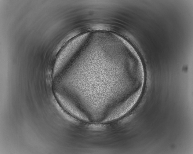 X0000112791041200909111207