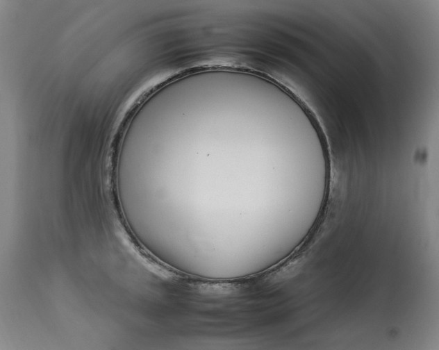 X0000112791045200909111207