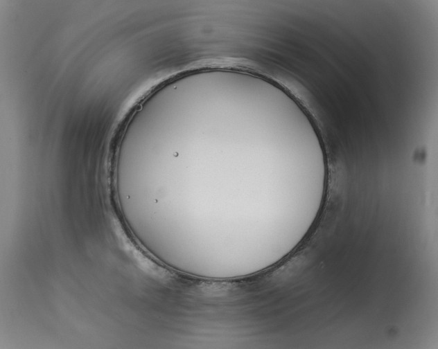 X0000112791046200909111207