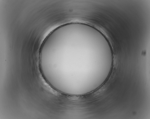 X0000112791048200909111207