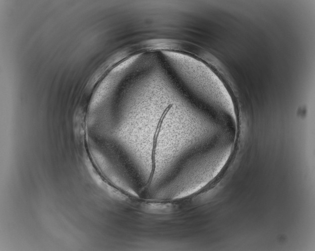 X0000112791049200909111207