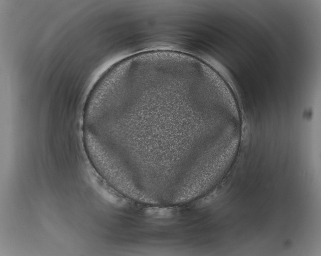 X0000112791051200909111207