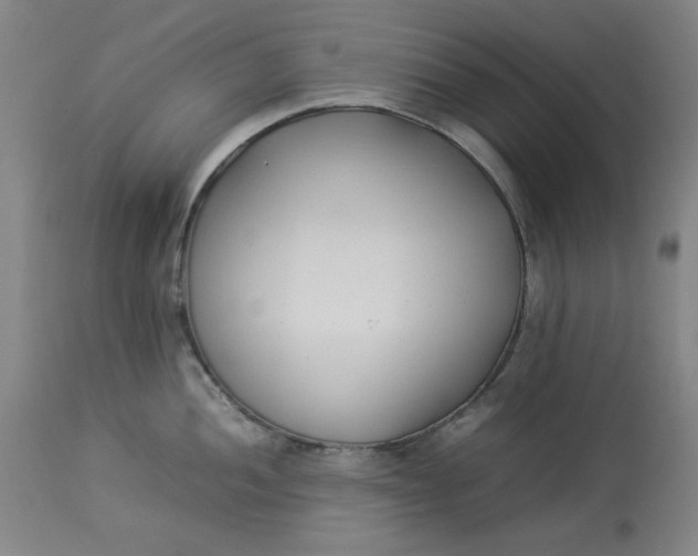 X0000112791052200909111207