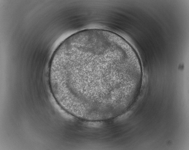 X0000112791053200909111207