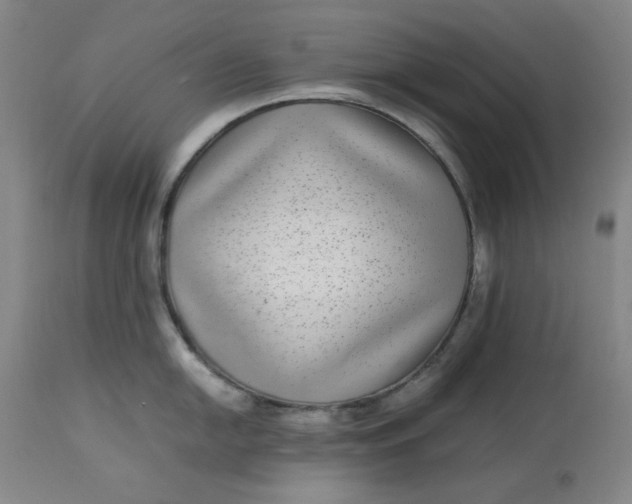 X0000112791054200909111207