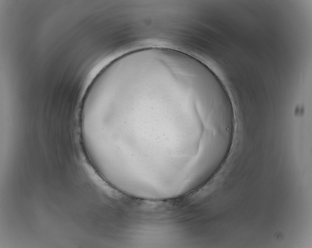 X0000112791056200909111207