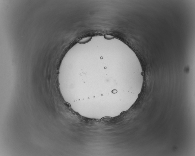 X0000112791057200909111206