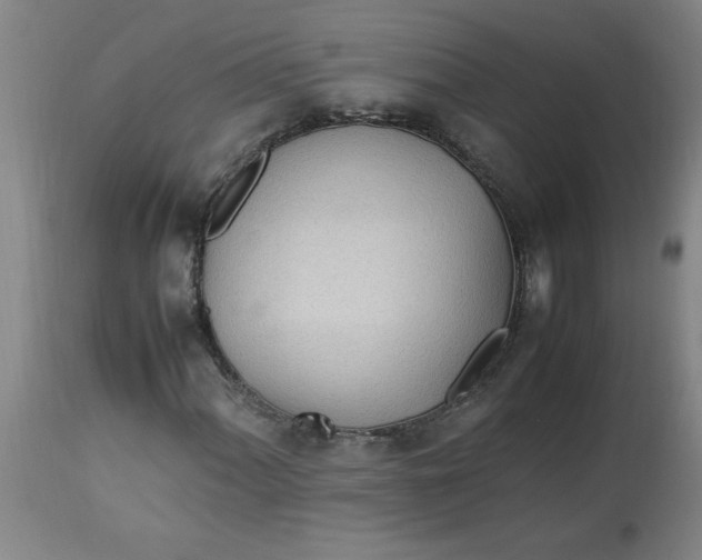 X0000112791060200909111206