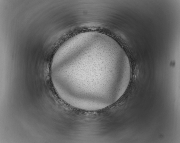 X0000112791062200909111206