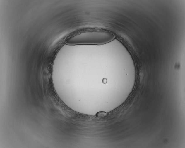 X0000112791064200909111206