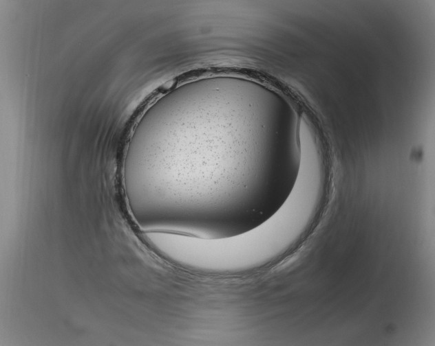 X0000112791065200909111206