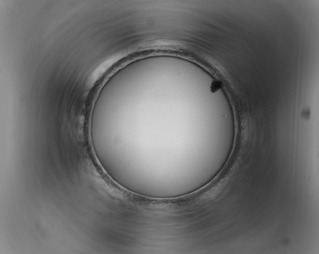 X0000112791066200909111206