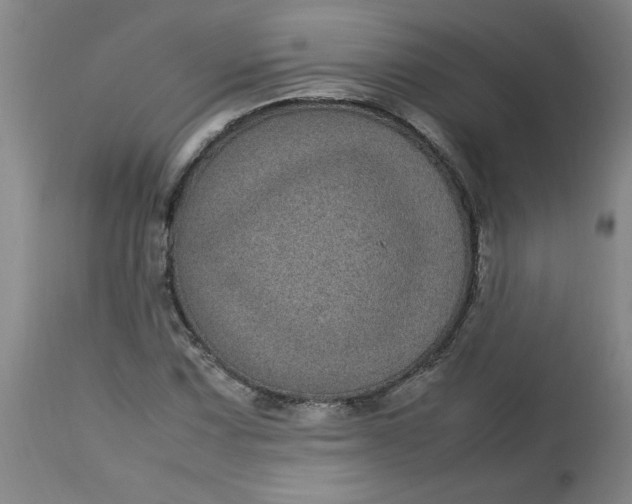 X0000112791067200909111206