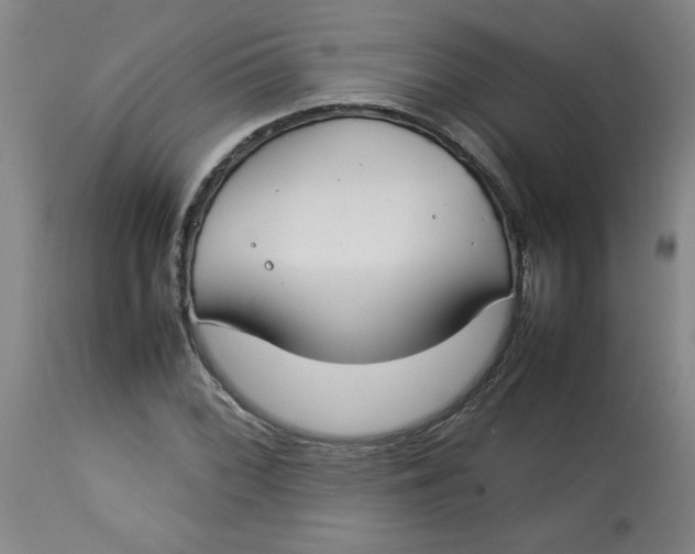 X0000112791068200909111206