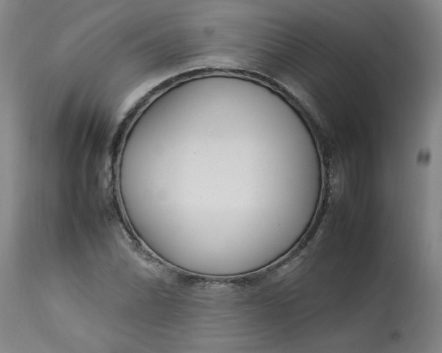 X0000112791070200909111206