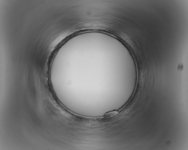 X0000112791071200909111206