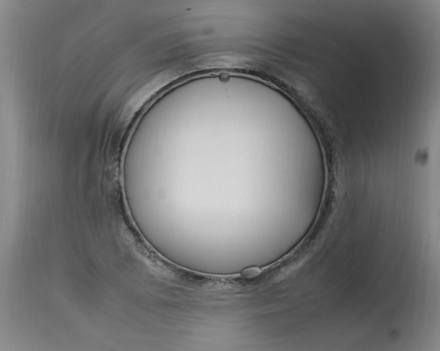 X0000112791073200909111206