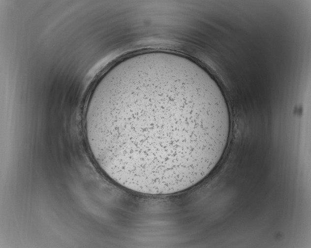 X0000112791074200909111206